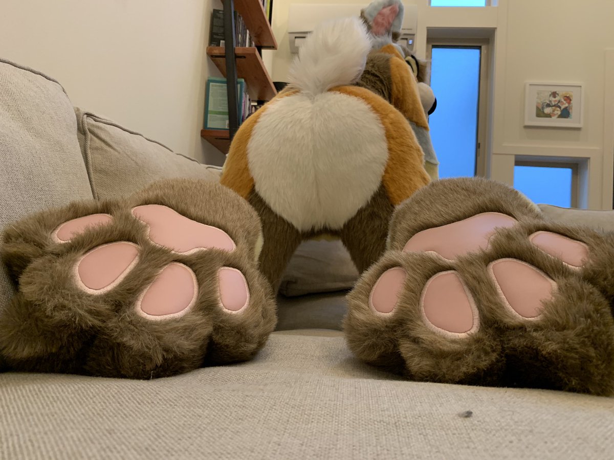 HysterixKit's tweet photo. #PawDay with @DireHeartbeat 😍 https://t.co/2jOK0qcEl7