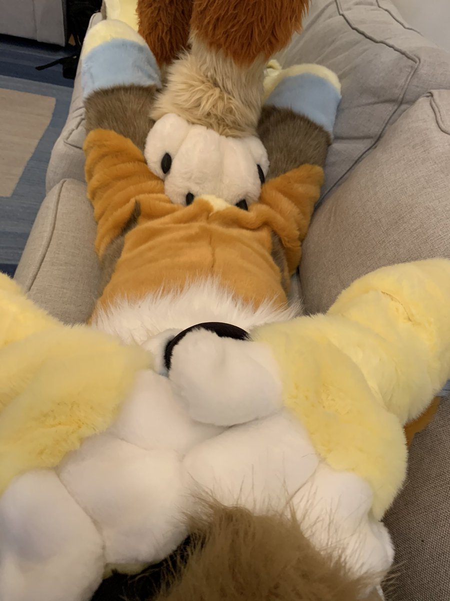 HysterixKit's tweet photo. #PawDay with @DireHeartbeat 😍 https://t.co/2jOK0qcEl7