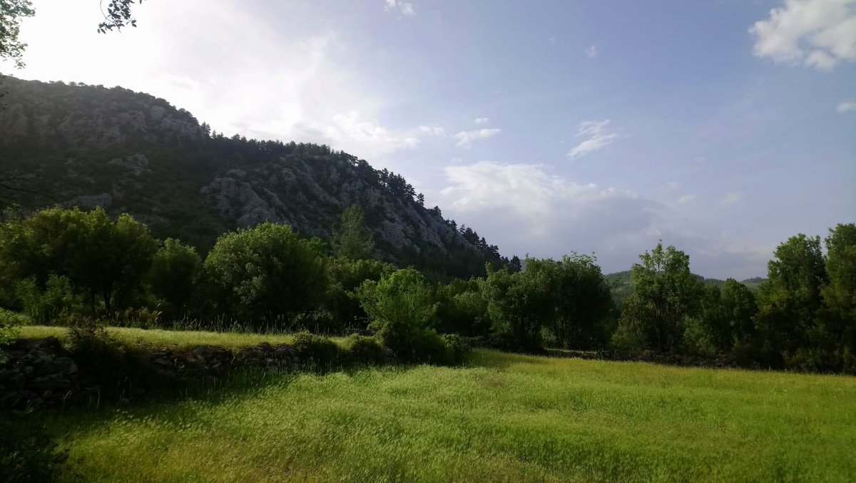 ASERT15's tweet photo. Tekrarı yoktur bazı ��eylerin... hayat gibi... ömür gibi... aşk gibi... https://t.co/quWfKFSG66