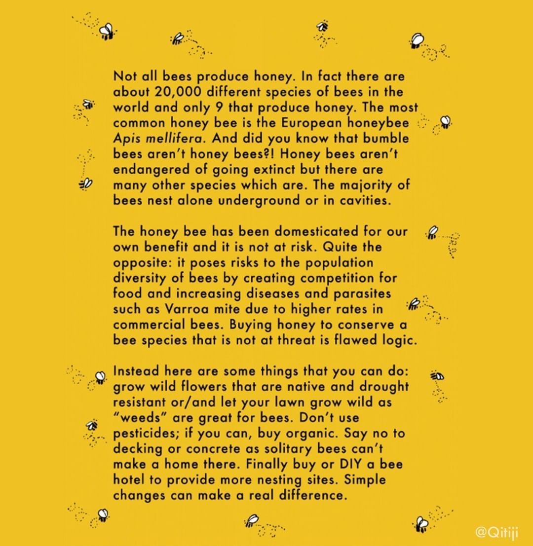 Liminal 11 tweet media