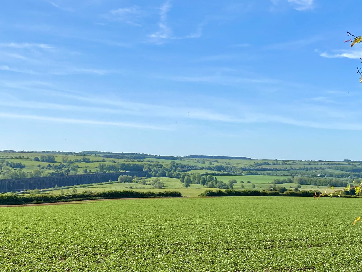 I can’t get bored of this view 😍

#officewithaview #rutland #seaton #wellandvalley #wellandviaduct #harringworthviaduct #countryside #countryview #countrylife #countrylifestyle #countryliving #lifestyle #rollingcountryside #fineandcountrystamford