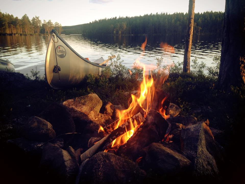 WildSweden tweet media