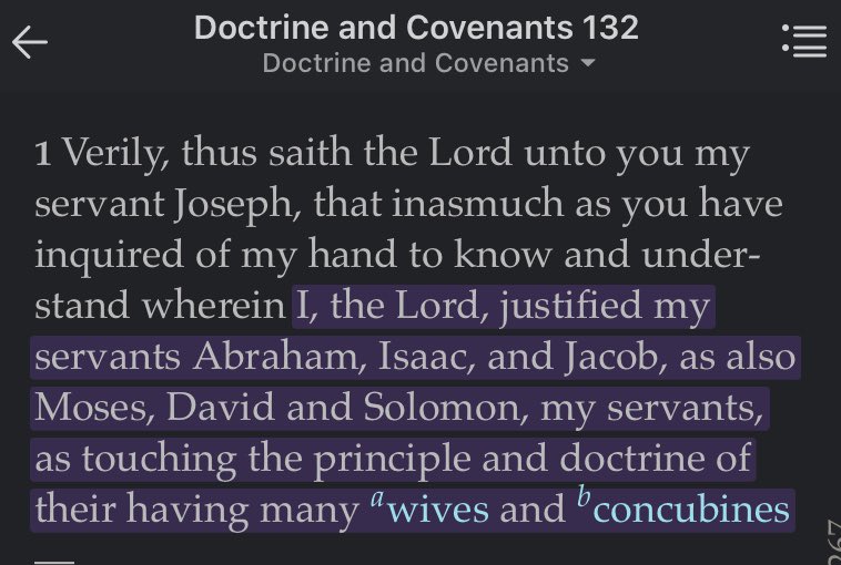 Joseph received what is now D&C 132:1What is important to note here is that the Lord had approved of these marriages.