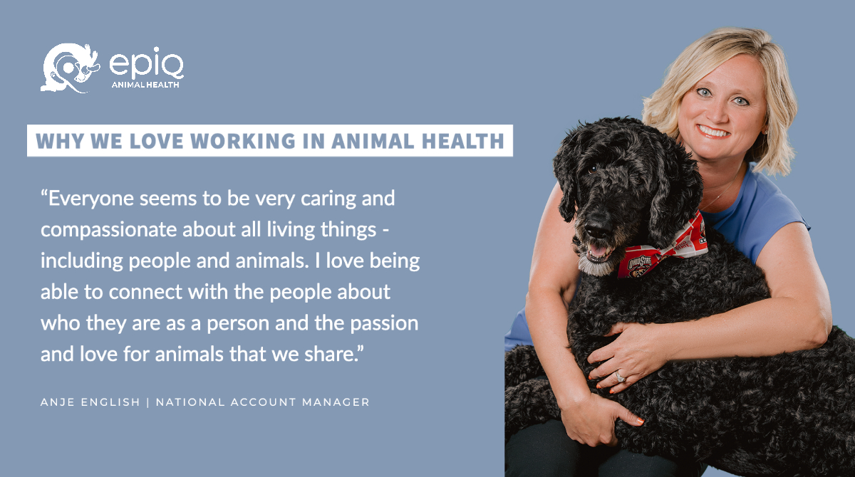 EPiQ Animal Health tweet media