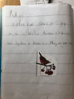 pandasclass's tweet photo. Joseph, thank you for showing us your fantastic bird report!  You included so much information. Wow! 🐦🌟 https://t.co/JVACJGcuCR