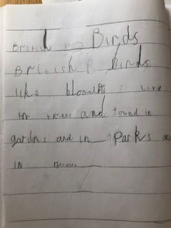 pandasclass's tweet photo. Joseph, thank you for showing us your fantastic bird report!  You included so much information. Wow! 🐦🌟 https://t.co/JVACJGcuCR