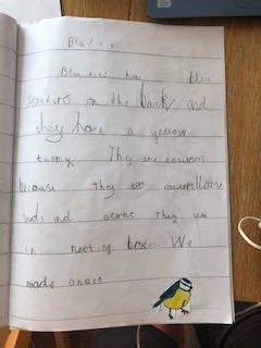 pandasclass's tweet photo. Joseph, thank you for showing us your fantastic bird report!  You included so much information. Wow! 🐦🌟 https://t.co/JVACJGcuCR