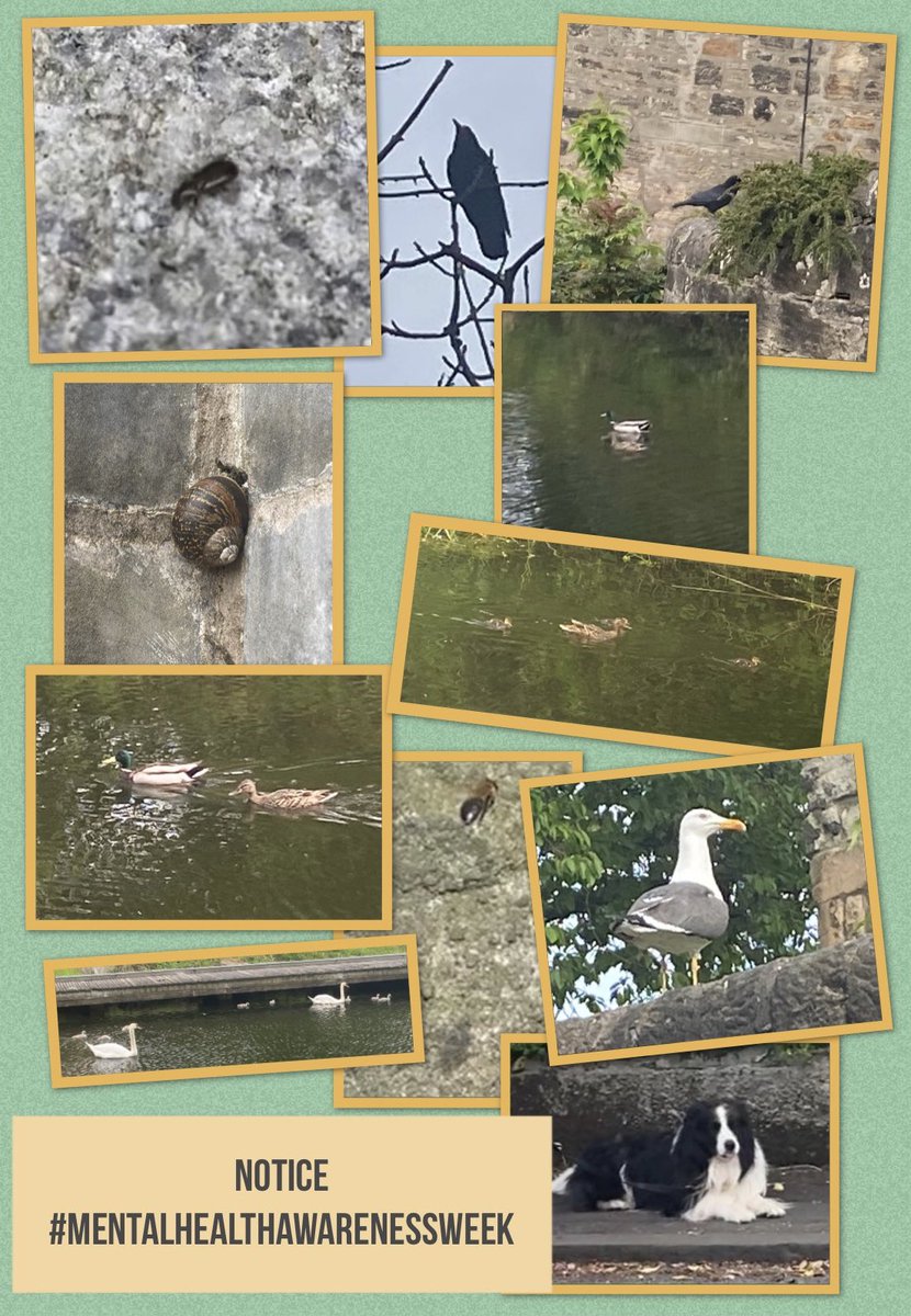 Mrs Carr tweet media