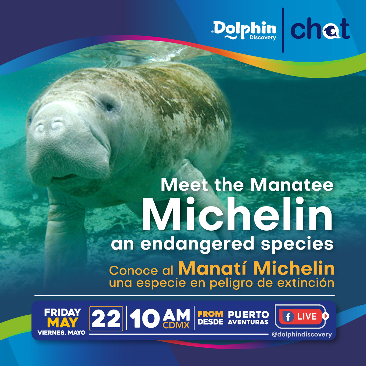 dolphindiscENG's tweet photo. Follow us on Facebook next Friday to meet Michelin, one of our marvelous Manatees in Dolphin Discovery Riviera Maya. 🤓 Learn with us more about these endangered species.
#LiveChat #ToKnowIsToLove #TheHomeOfTheMostLovedManatees https://t.co/GheOSfx1zT