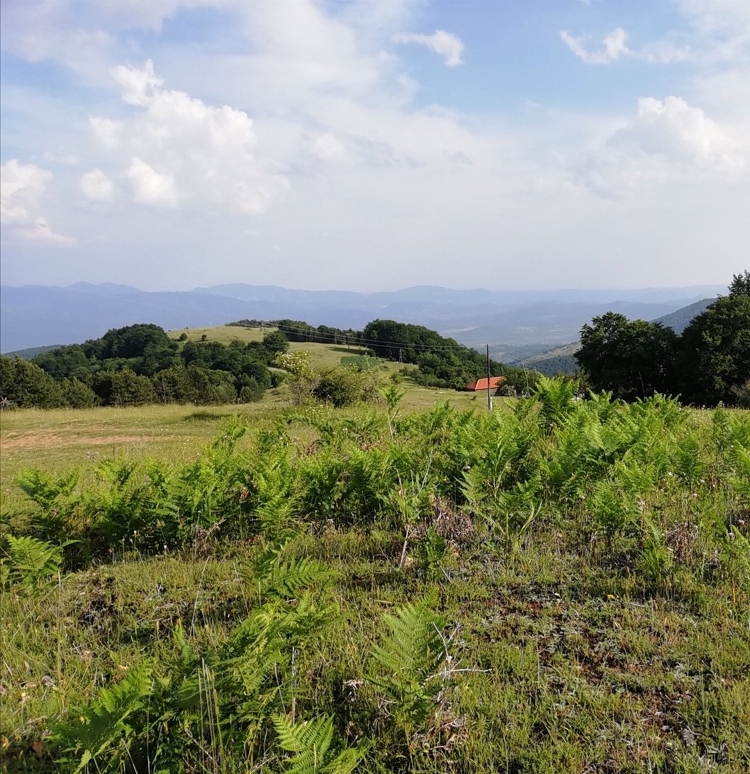 shopkarishte's tweet photo. Look toward #Slavishte plain 🇲🇰from Mountain #German 🇲🇰1390 m heigh
Village #Paklishte 🇲🇰
#Macedonia
@PicPublic
@MagicalEurope
@Havenlust
@StormHour
@w0nderfulplace
@ThePhotoHour https://t.co/2kY7lqTXP7