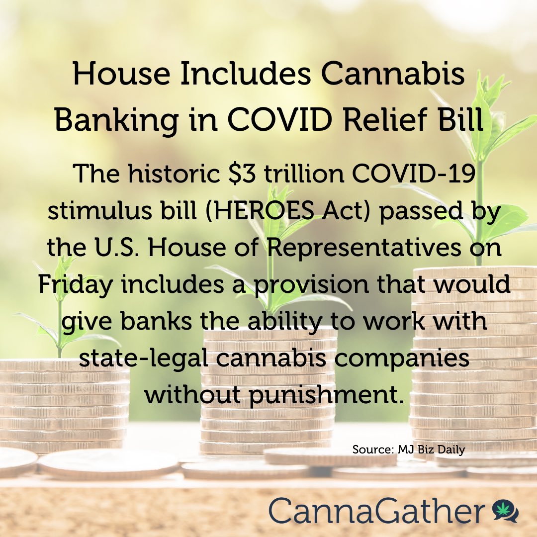 #COVID19 #cannabisreform