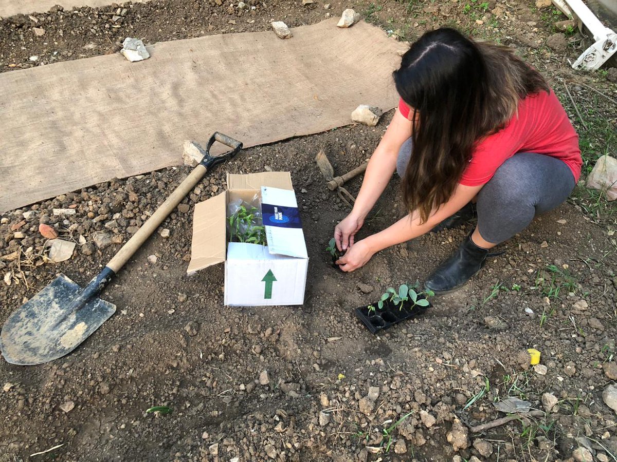 MakeYourMark tweet media