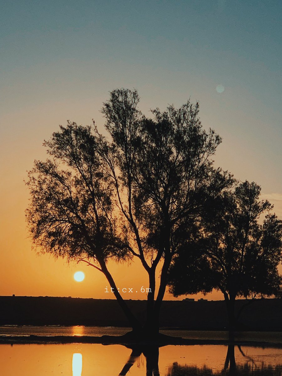 🌹💕 tweet media