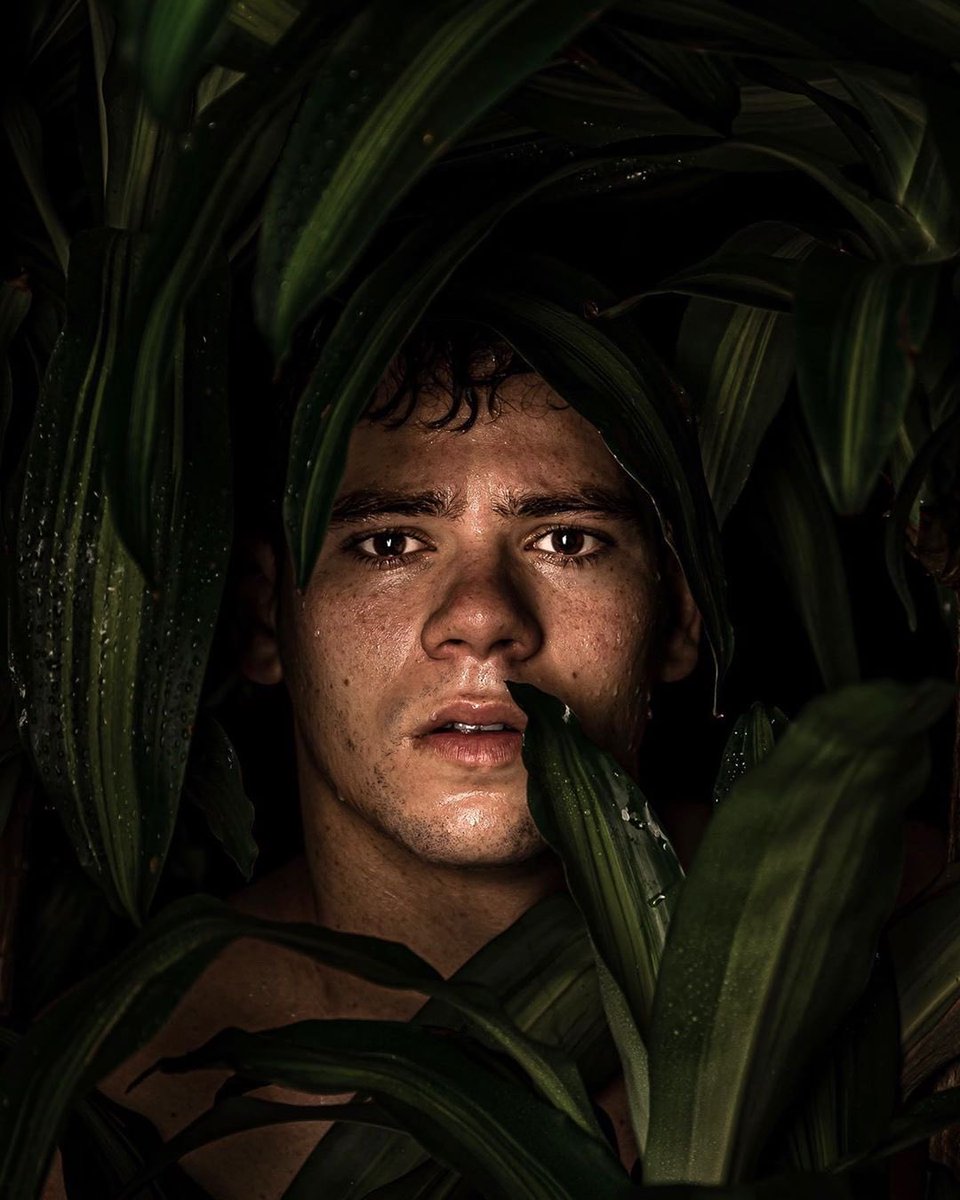 WestcottCo's tweet photo. New York-based photographer @cheftt captured these shots with the #FJ400 in a #RapidBox 1x2. Not bad for some house plants and a spray bottle 🌿

https://t.co/gAN8K9o1rq

#portraitphotography https://t.co/xe9qLyHMzM