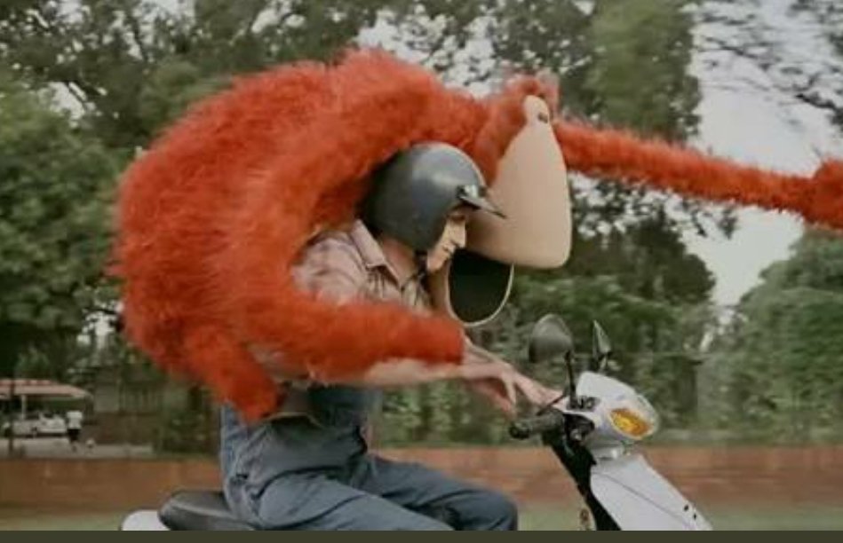 before_JD's tweet image. Masters liquor rest here I come #modipane