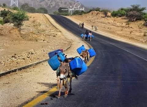 جب نااہل، نالاٸق اور نکمے لوگ سازش کے زریعے اقتدار پر جھپٹتے ہیں تو پیش بندی کیسے کرتے ہیں۔ ملاحظہ فرماٸیں 👇😂

ریڈ انڈینز کے اپاچی قبیلے کے بزرگ سردار کا انتقال ہو گیا تو قبیلے کے ایک یونیورسٹی پڑھے جدید زہن نے دیگر نوجوانوں کو ساتھ ملا کر سرداری پر قبضہ کر لیا۔
Cont👇