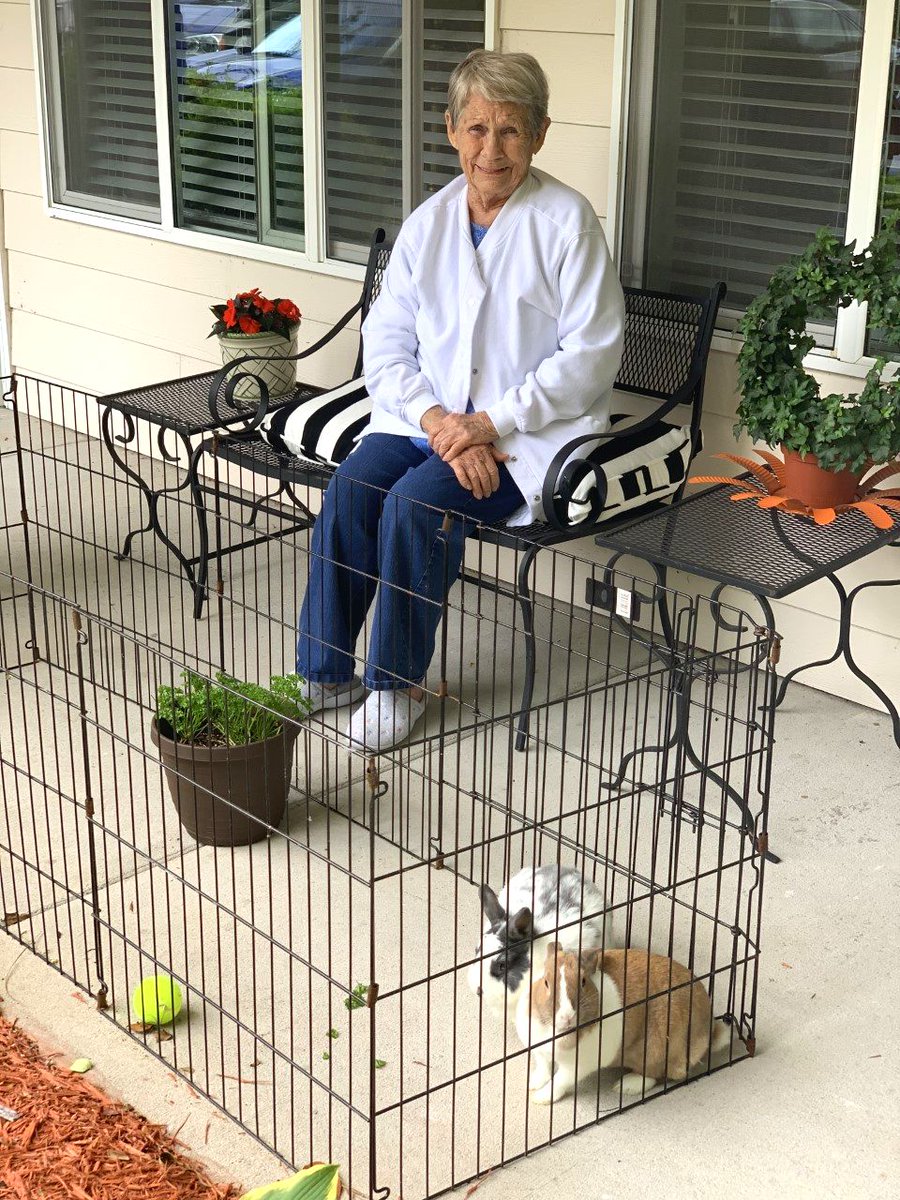 srlivingholiday's tweet photo. Resident Marie was "hoppy" to take over as Resident Bunny Keeper! Normally, she visits their hutch in the Activity Room, but with the help our associates and a cardboard box, Nugget and Sophie travel each day to Marie's porch for a visit! #SharetheCheer https://t.co/J9VDjWPPVd
