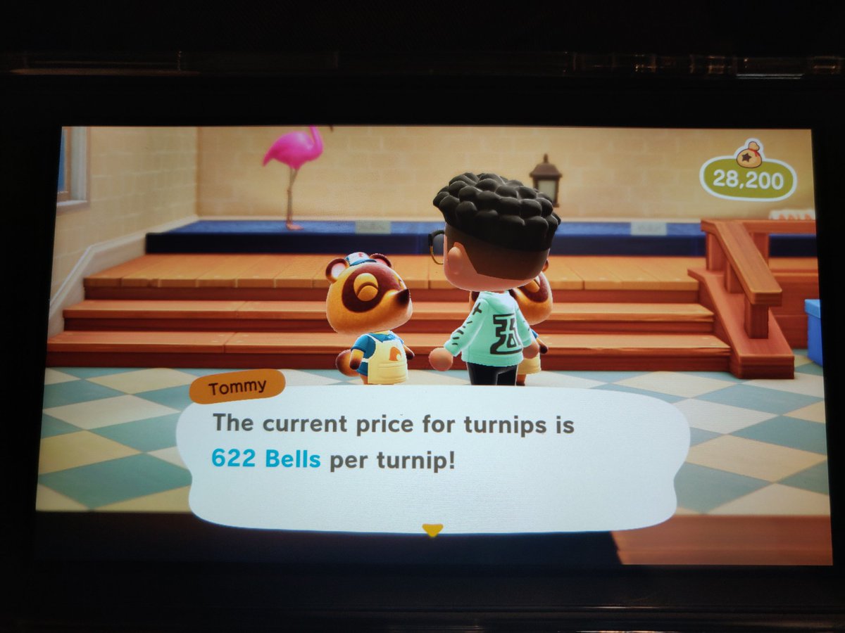 wannafloatmyguy's tweet image. Turnip prices at 622 , like/rt for Dodo code  #turnipprices #ACNH  #ACNHTRADE #AnimalCrossingNewHorizons        #AnimalCrossing #acturnips #turnipprices #TurnipPrice #turnipexchange