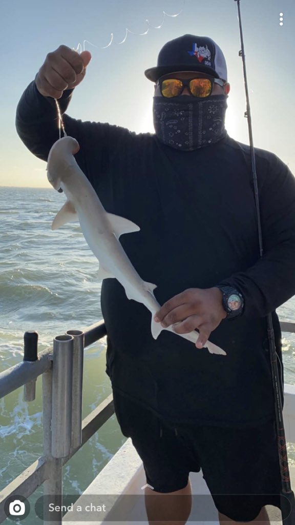 alexsegura956's tweet photo. Bay fishing 🎣 was Great caught me a shark 🦈 #saltylife #southpadreisland #spi #beach #fishing #captainmurphy https://t.co/yd7QabNahB