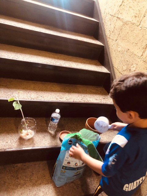 Timber Lane ES tweet media