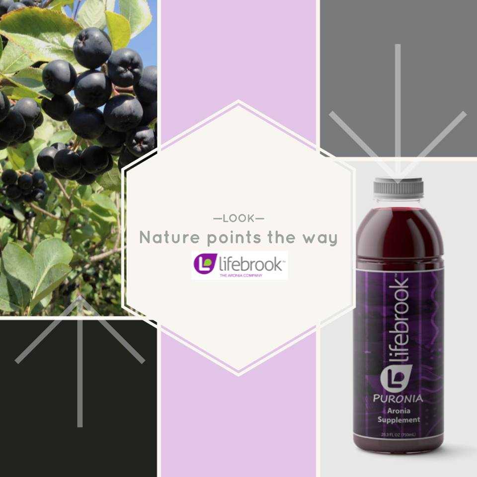 peart_terri's tweet photo. Two weeks and loving this. #aronia #golifebrook https://t.co/uWU376qfMm https://t.co/8BgeF5yXwU