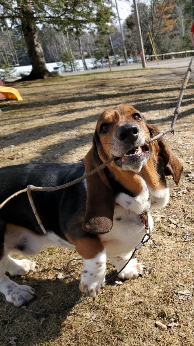 Northland Pines LMC tweet media