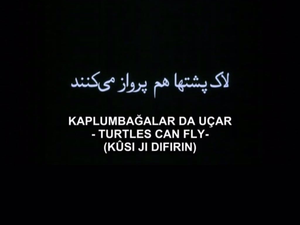 Pert olma garantili 
#kaplumbagalardaucar
#film
#sinema 
#dizi