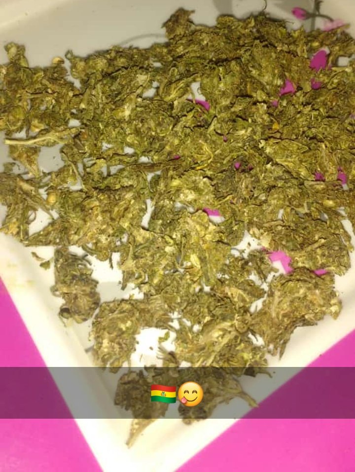 mayene69's tweet photo. Tal da Bolívia 🇧🇴🍁 #Cherosa https://t.co/Y1c6Rgs5ei