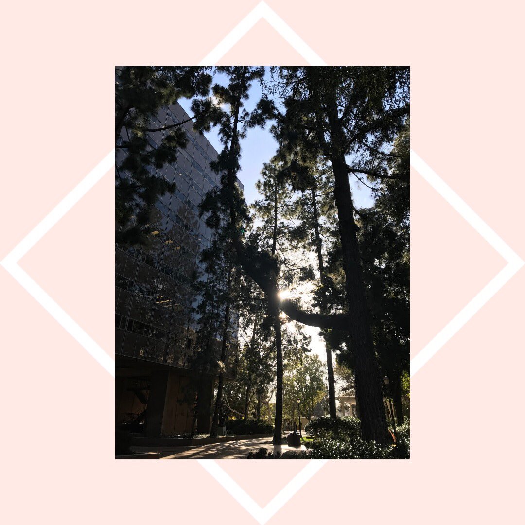 Mid-week reminder to take a break from your Zoom meetings and explore the outside🌿 Explore #apartment listings around LA simply by logging on to #Pocketlist ✨