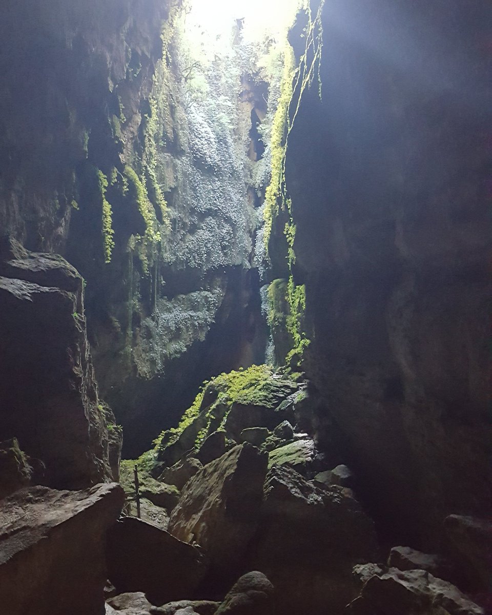 WaitomoAdventur's tweet photo. Nick has been out cleaning the Lost World Cave in readiness for reopening...looks pretty spectacular this morning.. https://t.co/Iq0cx78i1w