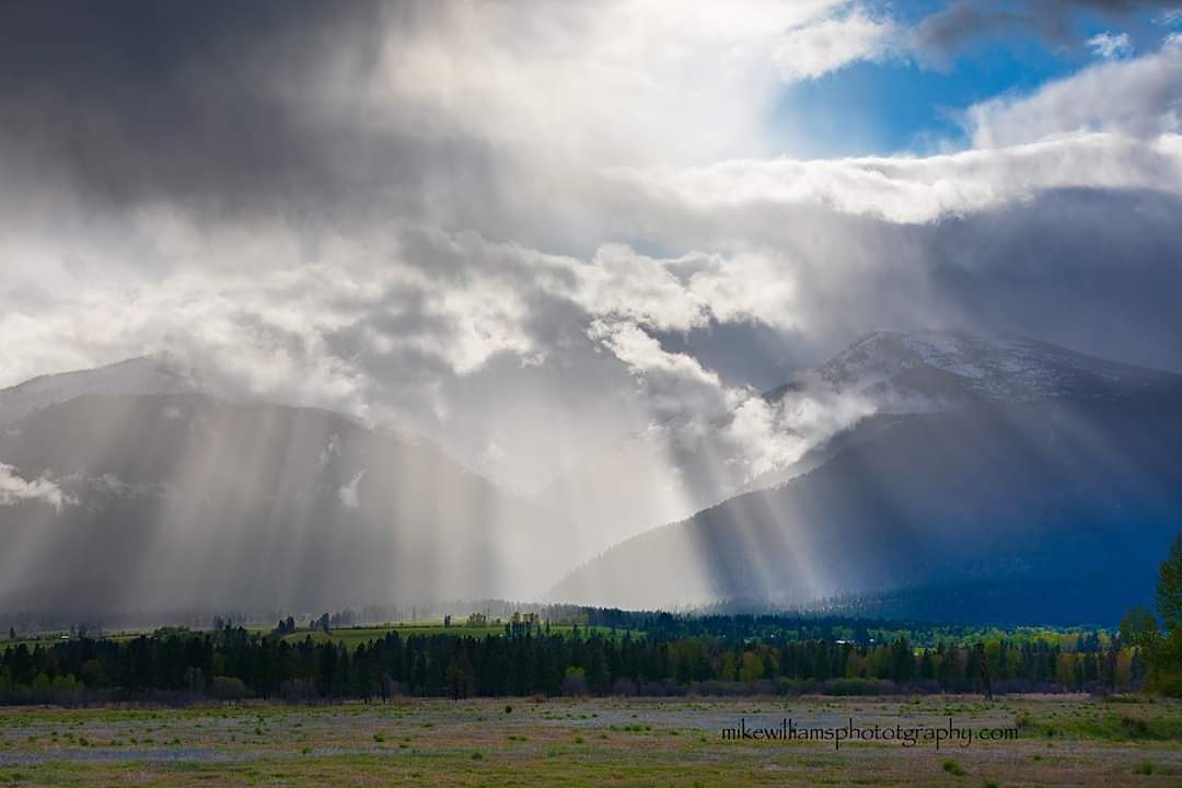 mislaphotoguy's tweet photo. Sunbeams in the Bitterroot valley last week.  #mikewilliamsphotography #montana #MontanaMoment #ranchlife #dramaticlight #highcountry #bigskycountry #canonphotography #Canon https://t.co/BRaIqm2OmL