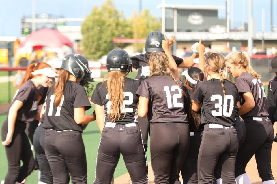 jersey jaguars softball