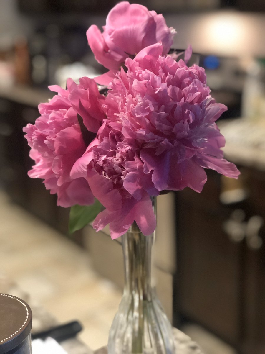 MadameTesoro's tweet photo. Fresh cut peonies in exchange for some friendship bread today! #ProjectFriendship #CPSBestFriends https://t.co/oAj5ueYKX1