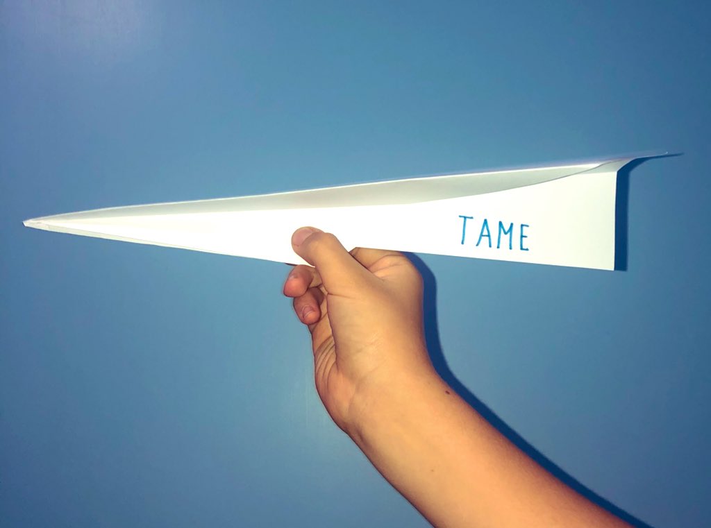 mitomax's tweet photo. Mi sobrino y su avión de papel #TameSiPuedeVolar https://t.co/jyDrzT2pkX