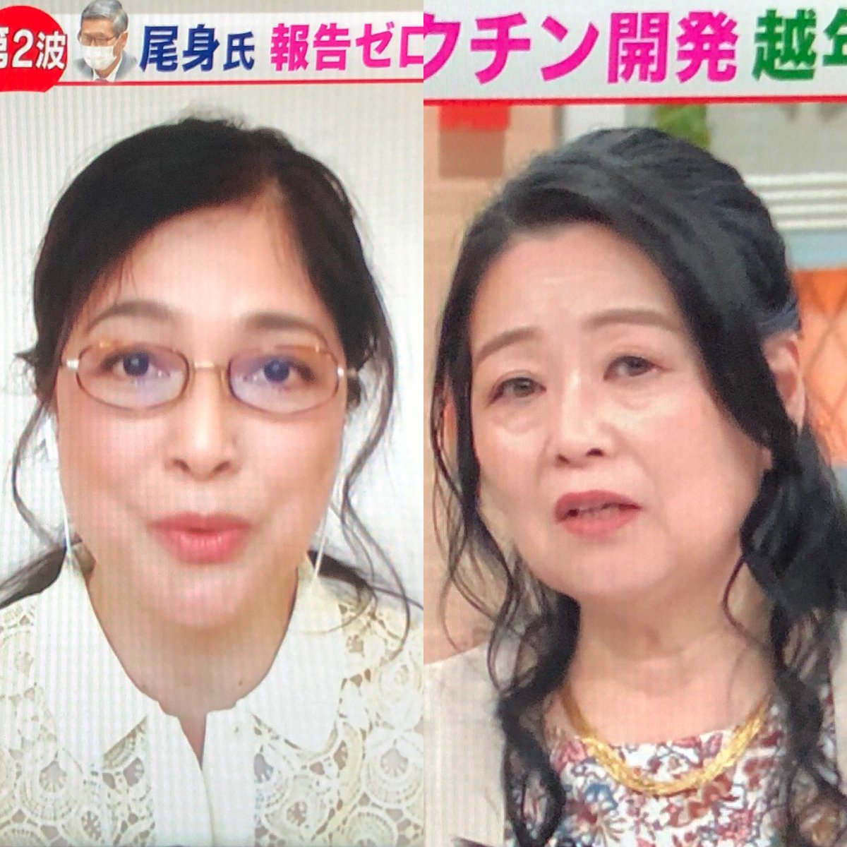 嫌い 岡田 晴恵 堀成美とは？プロフィールや学歴&経歴は？上から目線の話し方で嫌い？岡田晴恵氏はどこへ？│トレンドフェニックス