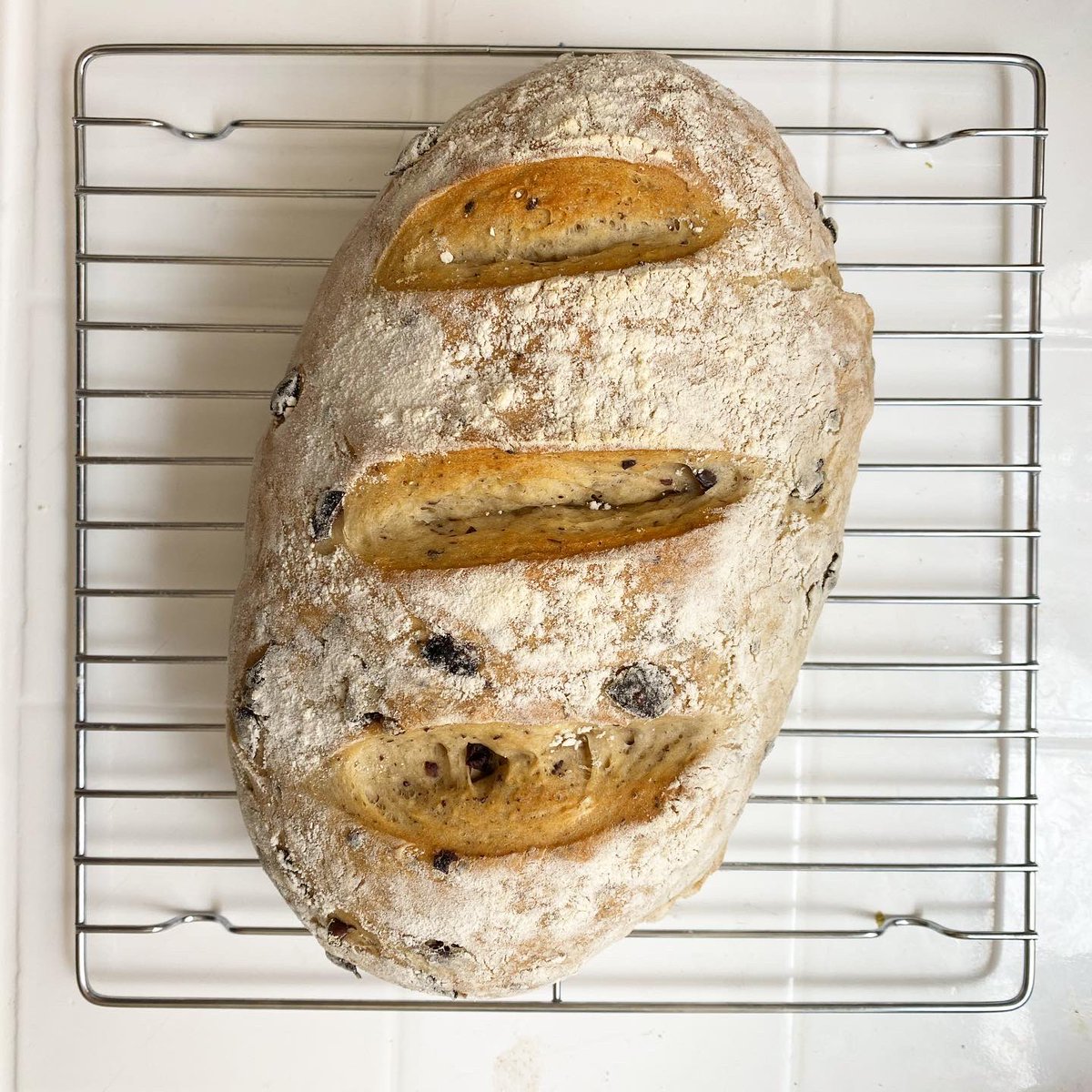 AlexDiDio's tweet photo. She is risen. Quick & easy olive bread. Recipe: @WanderlustKitch #kalamataolives #quarantinelife #quarantinebread #loaflife #butta https://t.co/gxKYZOvLRS