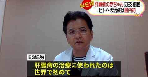 胚性幹細胞 Wikipedia