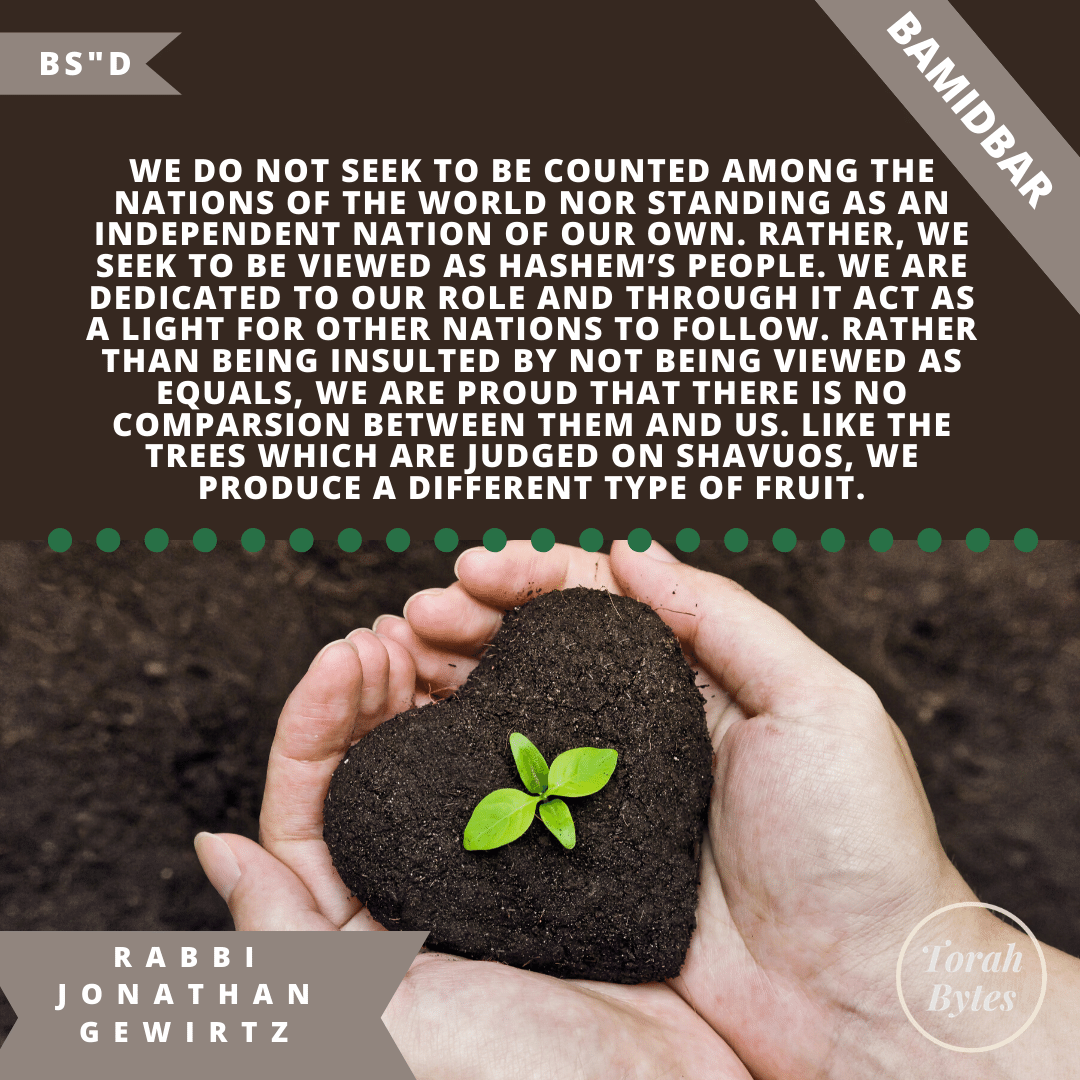 torahbytes613's tweet image. #bamidbar #parasha #chosennation @rabbigewirtz