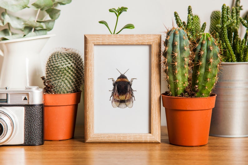 Who's buzzing that there's finally some sunshine?! 🙌 On #WorldBeeDay2020 I thought I'd share this little guy 🐝

(He's still available but bee quick! Its a one off original piece on A5) 🎉🎁

 Etsy.com/shop/joesteven… 

 #HandmadeHour #UKGiftHour #UKGiftPM #Mindfulgifthour #art