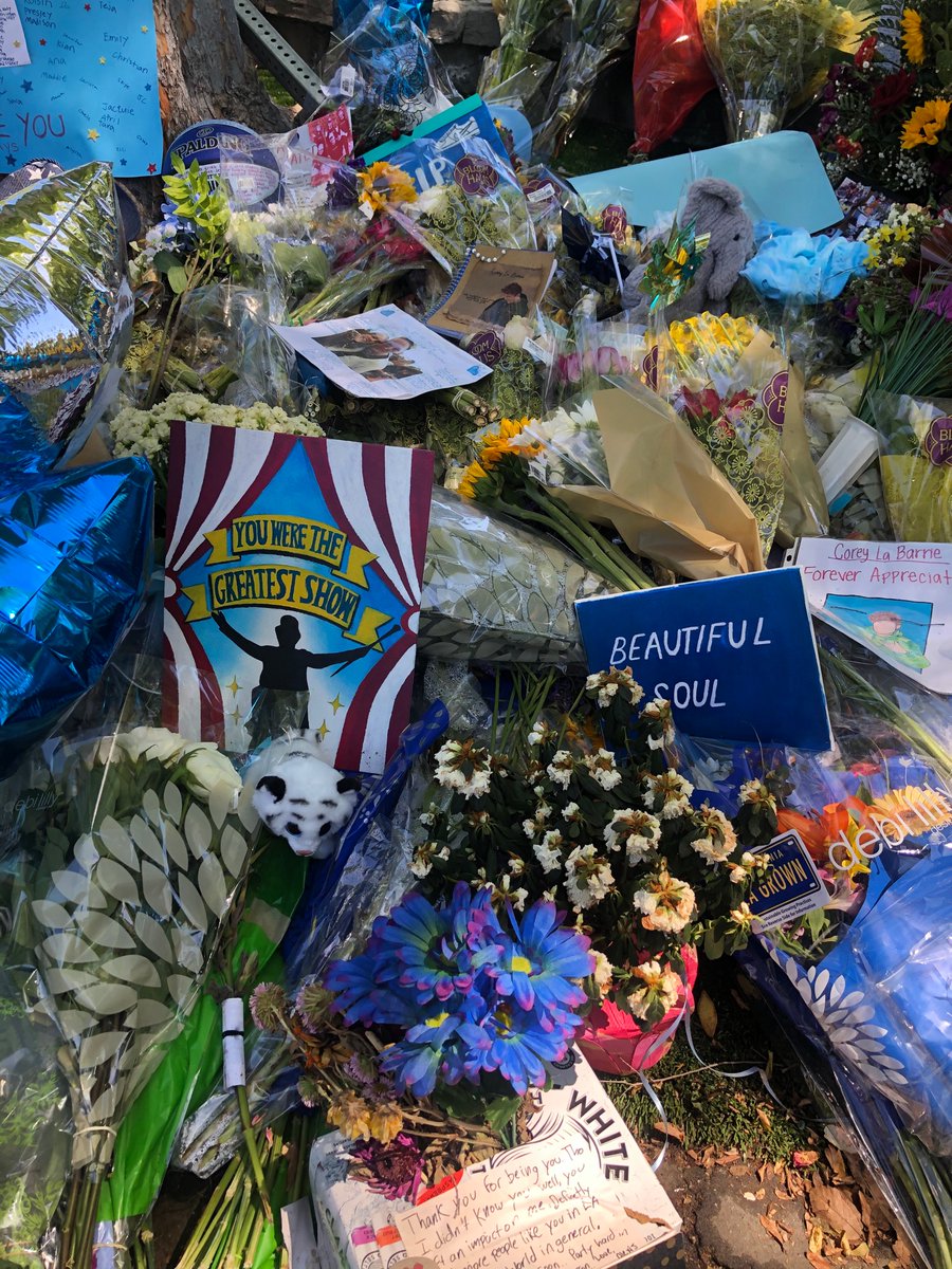 swagmonaylee's tweet photo. I left some blue roses for you Corey 💙 it made me feel really happy to see how everyone has come together for Corey. I wanted to share some of the stuff for others to see. So beautiful 💫 https://t.co/2LOU9y65so