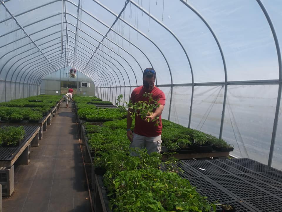 JeremyKappell's tweet photo. Local green houses are hopping today with happy, smiling, masked crusaders! #Baumans #roc #gardening #springfinally #sunloving #familyfun https://t.co/DXiL6LiGEl