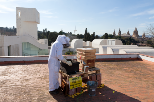 fundaciomiro's tweet photo. 🐝🐝 Celebrem el #DiaMundialAbelles recordant l'#exposició #beehaveBCN de l'any 2018, en la qual es va posar sobre la taula el problema de la desaparició massiva de les abelles i la vam acompanyar d'accions i intervencions artístiques arreu de #Barcelona. https://t.co/AoKf1KwGi3 https://t.co/gVs8IDfTZM