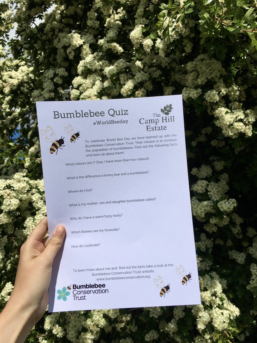 To celebrate #WorldBeeDay we have teamed up with the <a href="/BumblebeeTrust/">Bumblebee Conservation Trust</a>  for this week's learning resource for a Bumblebee Quiz 🐝

Give is a go and learn along the way bit.ly/33OKJZr 

#BeePower 🐝🐝🐝 #bee #bees #savethebees