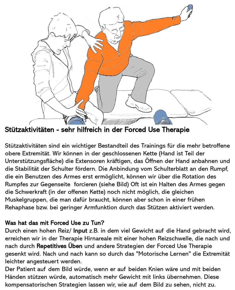 Heute mal wieder ein kleiner Theorie - Input. Alt, aber immer noch gut: der Stütz 💪🤓