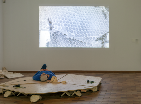 fundaciomiro's tweet photo. 🐝🐝 Celebrem el #DiaMundialAbelles recordant l'#exposició #beehaveBCN de l'any 2018, en la qual es va posar sobre la taula el problema de la desaparició massiva de les abelles i la vam acompanyar d'accions i intervencions artístiques arreu de #Barcelona. https://t.co/AoKf1KwGi3 https://t.co/gVs8IDfTZM