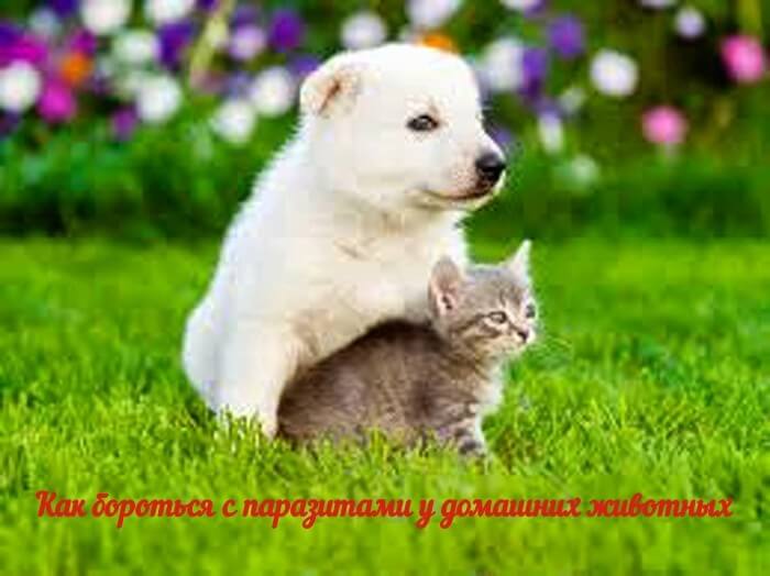 Петр Знатный tweet media