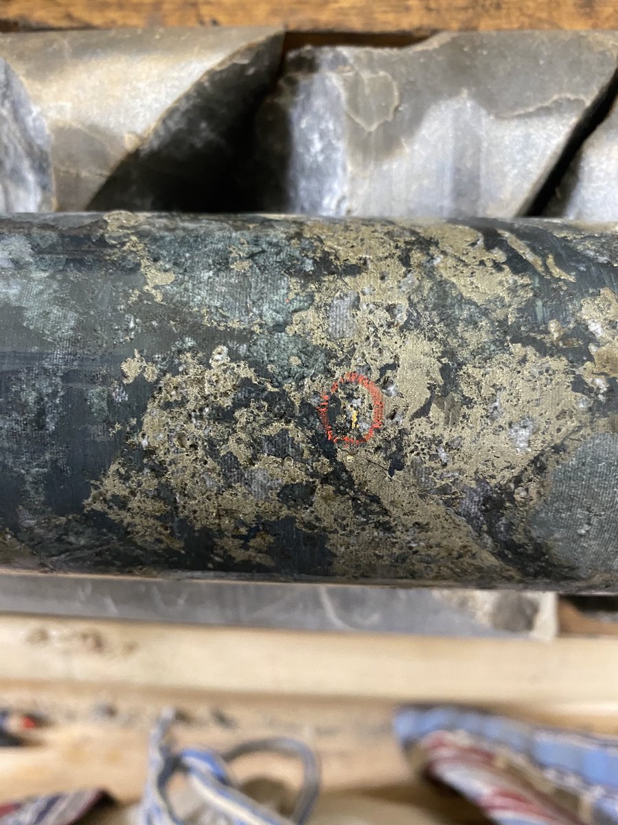 miaboiridy's tweet photo. Drilling is well underway at our SPJ Project...and seeing VG is always a + ! $BMK.v #highgradegold #Scadding https://t.co/glkFnB089i