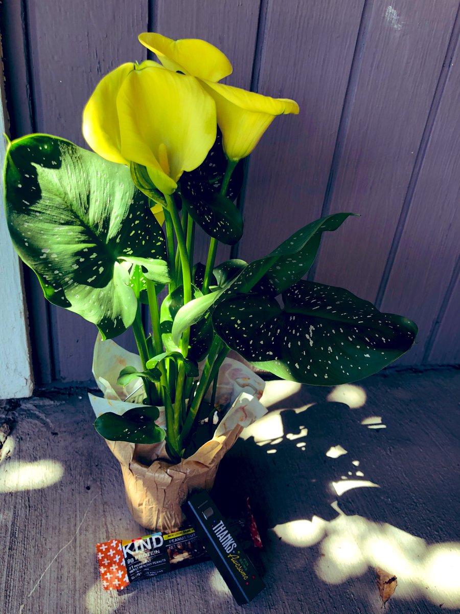 MsAdriNajera's tweet photo. What a special treat! Thank you @FranklinElemen1 for this appreciation gift. Thank you for making me feel so welcomed and supported. I felt valued and part of the team since day one โบ๏ธ #TeamBCSD #BCSDPsych #ValuedandHeard https://t.co/f9GVeQsWMK