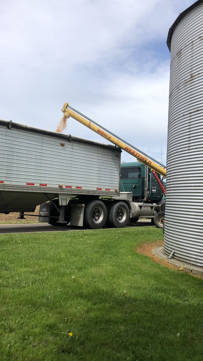 Farmer_Klick's tweet photo. A load of soybeans used to be worth more than my Mack, wish I could still say that was true 😂😂
#MackPower #PoorMansPeterbilt https://t.co/HUjd53Jp2d