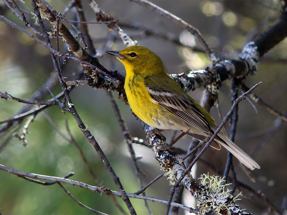 Eagle-Eye Tours tweet media